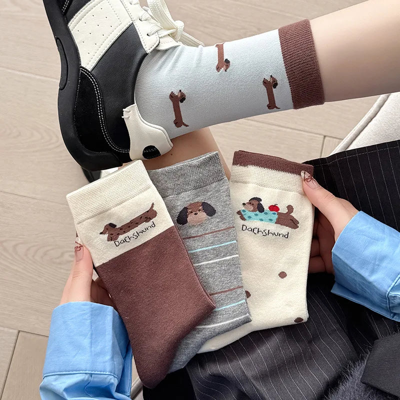 Chaussettes teckel 🐾
